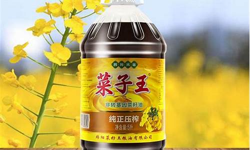 菜籽油价格是多少钱一升_菜籽油多少钱一斤